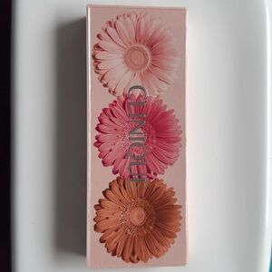 Clinique cheek pop on-the-glow palette